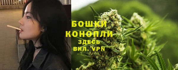 PSILOCYBIN Абаза