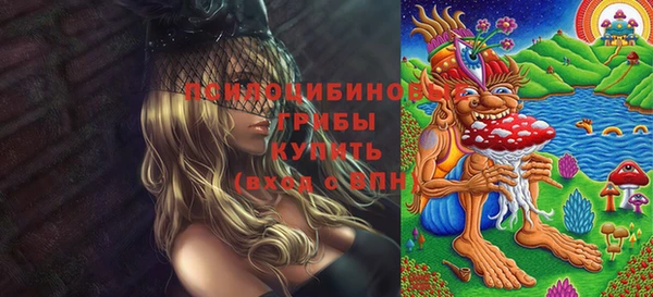 PSILOCYBIN Абаза